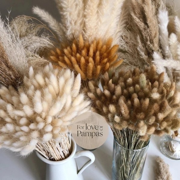 Dried Flowers Wedding: DIY - bunny tails colors