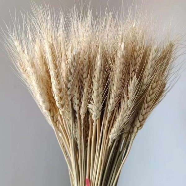 Dried Flowers Wedding: DIY - wheat grass