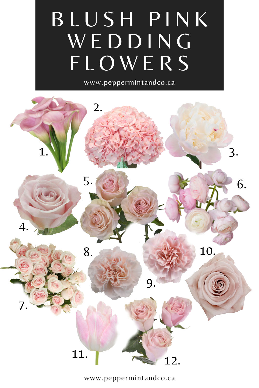 Blush Pink Wedding Flowers