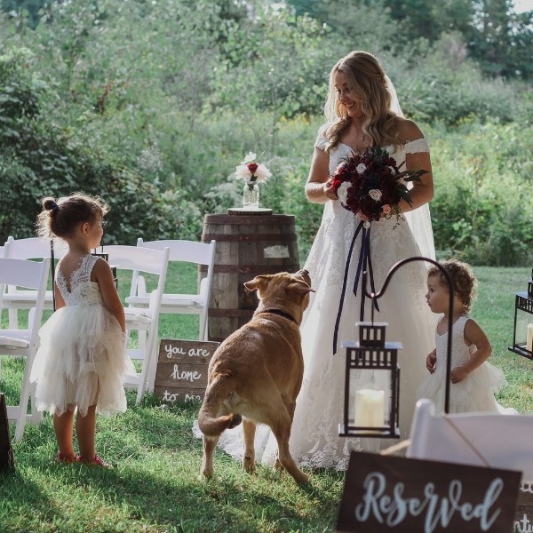 Kids Entertainment At A Wedding