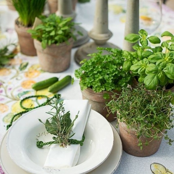 Easy & Affordable DIY Wedding Centerpiece - herbs