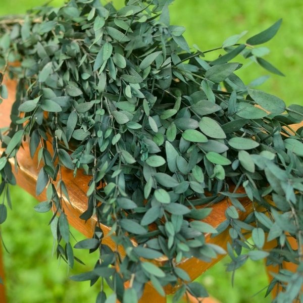 Easy DIY Cheap Wedding Centerpiece - dried greenery