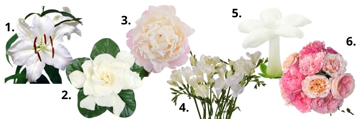 Why Wedding Flowers are Expensive - guides