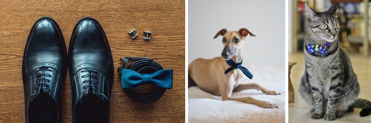 “Something Blue” Ideas For Your Wedding - accessories and pets