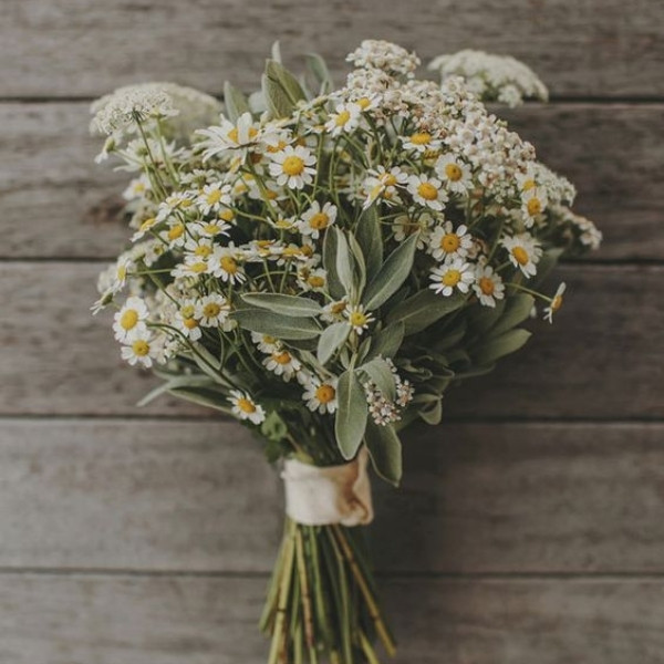 Cheap Wedding Bouquets - daisies