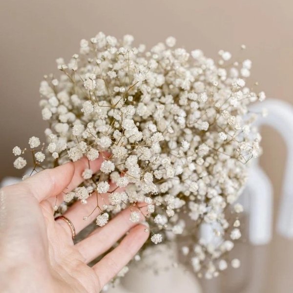 Cheap Wedding Bouquets - dried babies breath