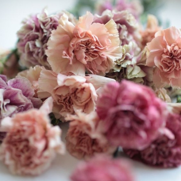 Cheap Wedding Bouquets - antique carnations