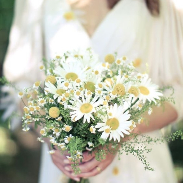 Cheap Wedding Bouquets - daisies