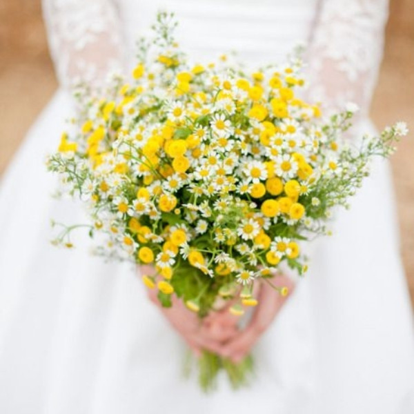 Cheap Wedding Bouquets - daisies - rustic