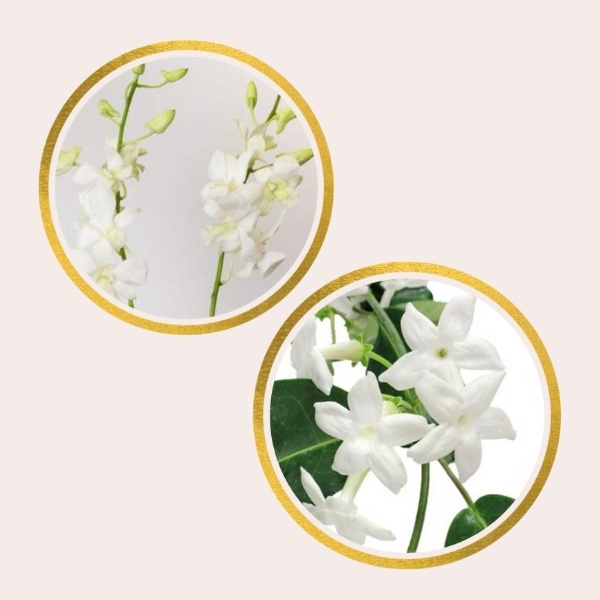 Affordable Alternatives For Pricy Flowers - dendrobium orchids and stephanotis