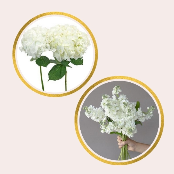 Affordable Alternatives For Pricy Flowers - hydrangea and stock