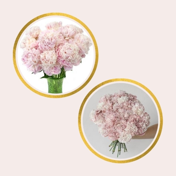 Affordable Alternatives For Pricy Flowers - carnations and peonies