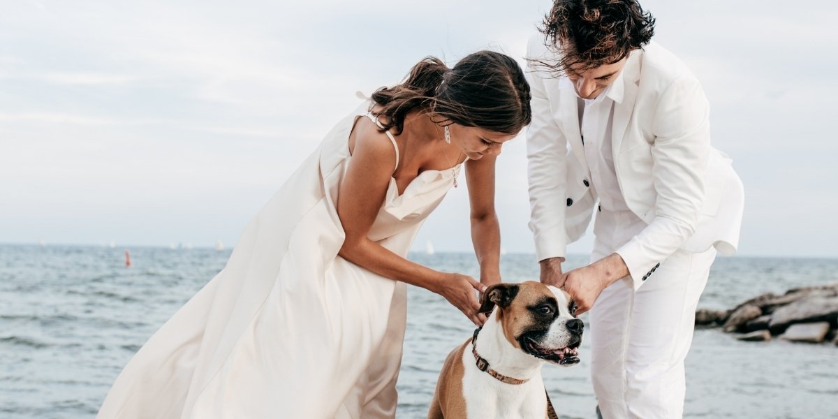 Dog-loving bride and groom enlist their PUG as ring bearer | Daily Mail  Online