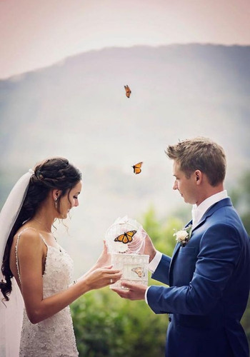 Wedding Unity Ceremony Styles  - butterfly release