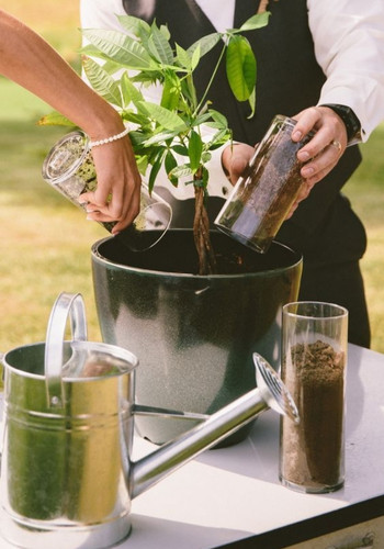 Wedding Unity Ceremony Styles  - tree planting