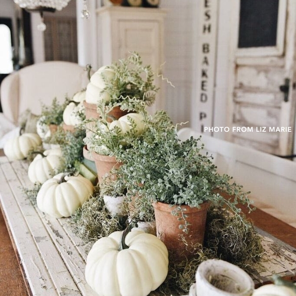 DIY Thanksgiving Decor: Top 20 Step-by-step Guide (Part 2)