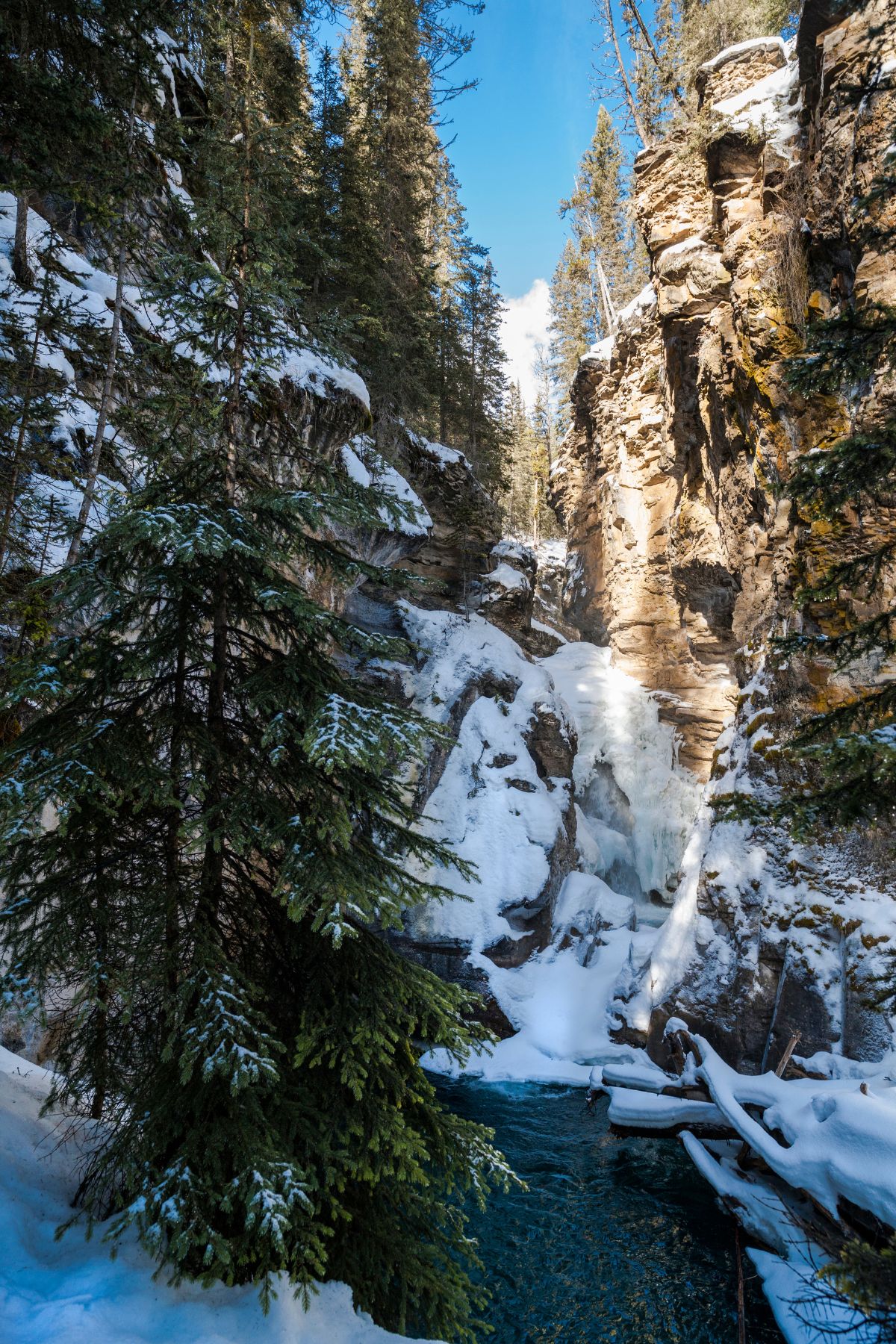 Banff Canadian Rockies Trip | One Day | Lake Louise