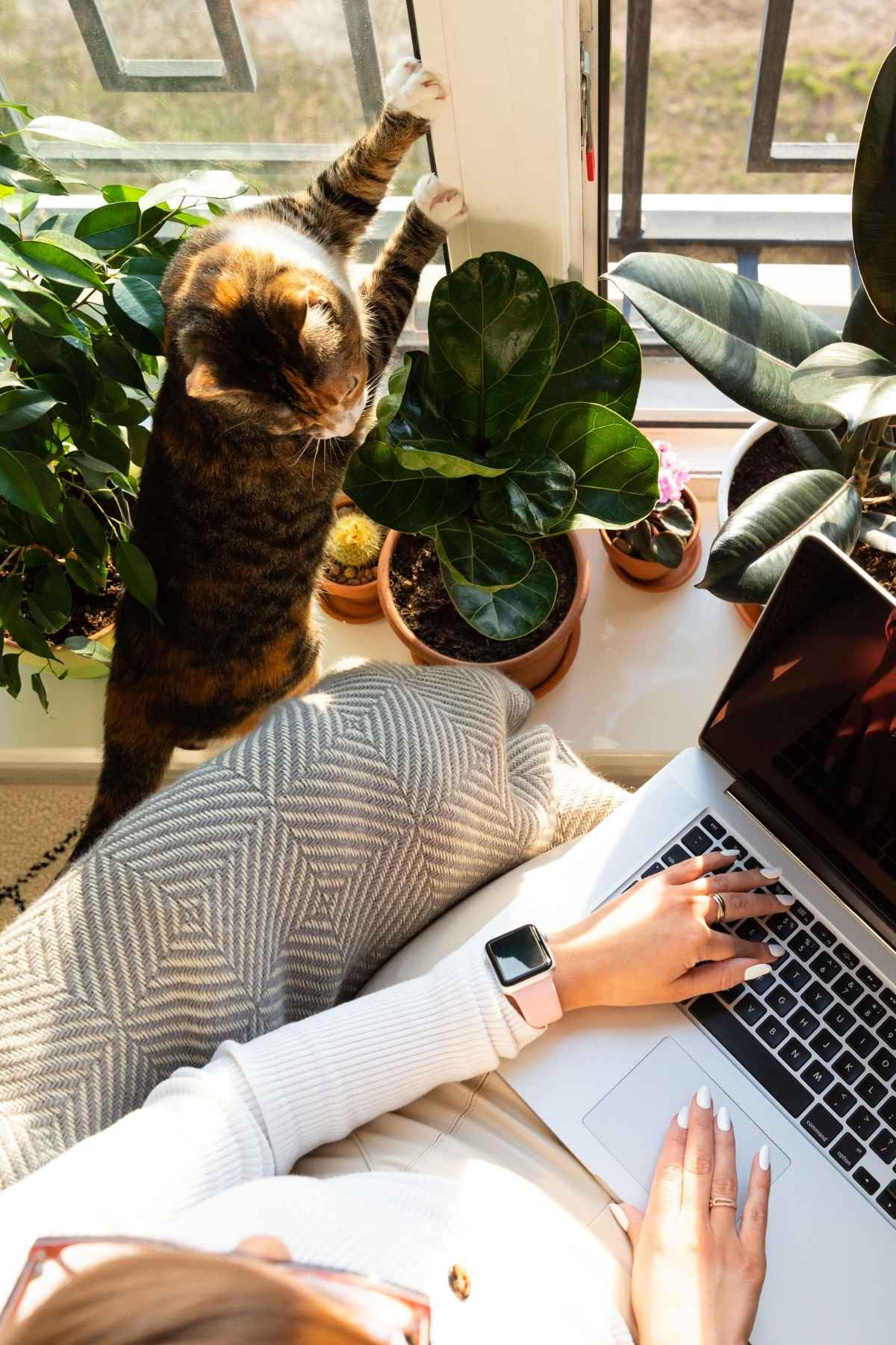 Living A Meaningful Life With Purpose