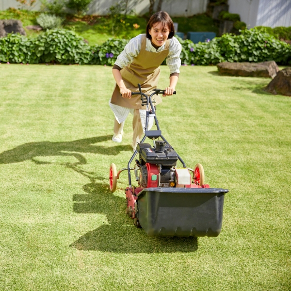 Mowing Without the Muscle : What Makes These Mowers a Game-Changer