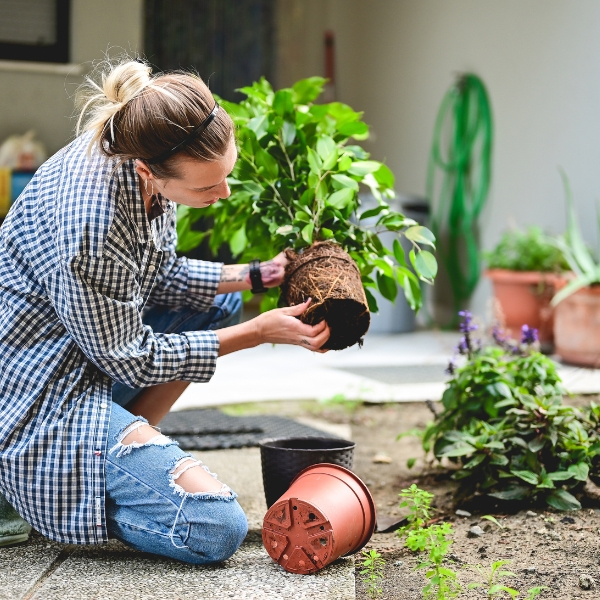 Four Ways to Get a Beautiful Garden if You Hate Doing Garden Work