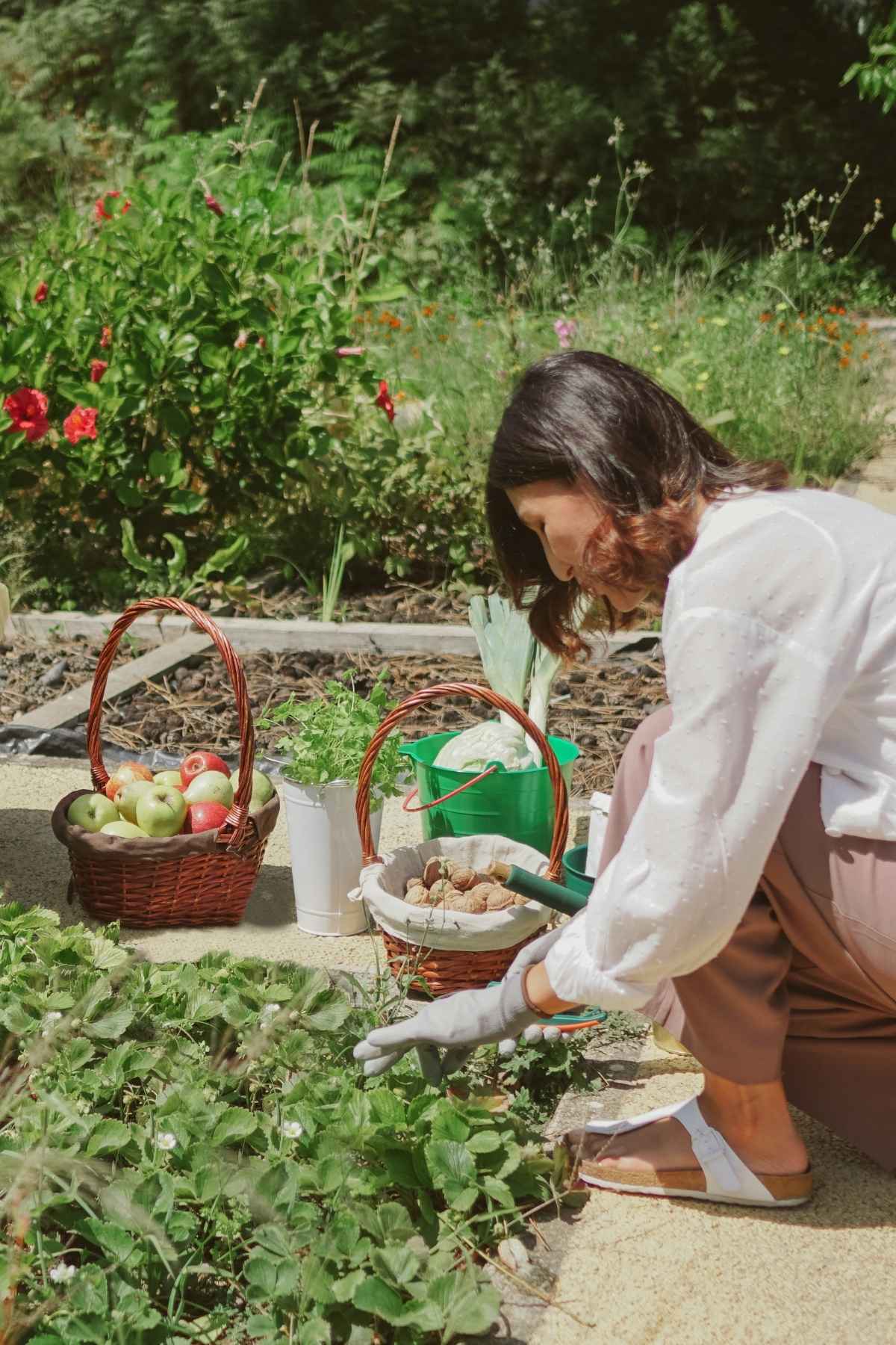 Four Ways to Get a Beautiful Garden if You Hate Doing Garden Work